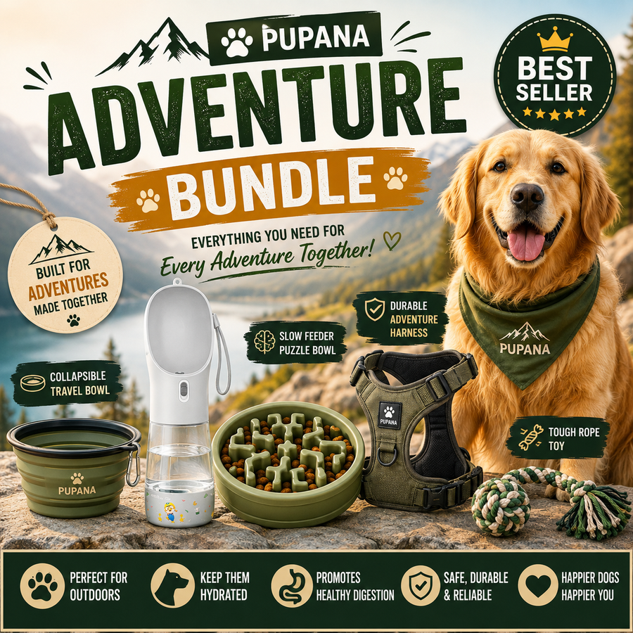 Adventure Bundle