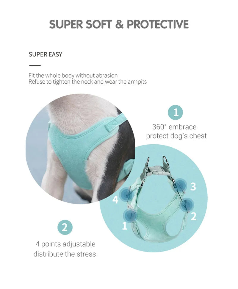 Pupana Everyday Dog Harness & Leash Set