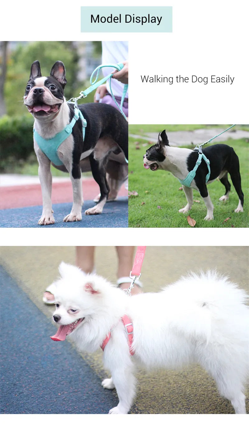 Pupana Everyday Dog Harness & Leash Set